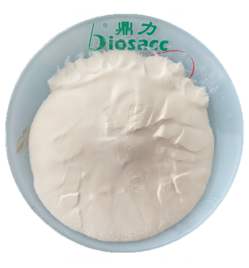 1776235155848847.png 3(1).png