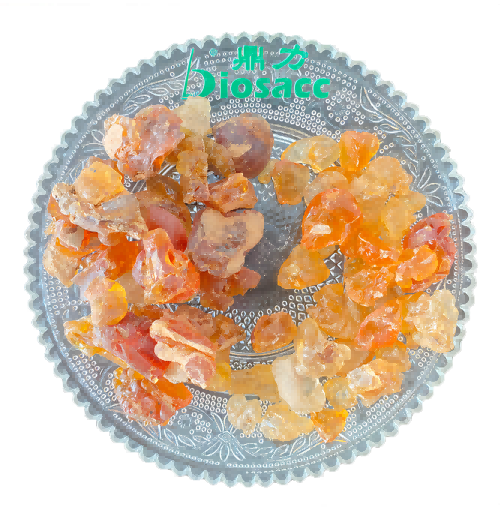 1776235114976651.png 2(1).png